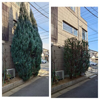 画像277