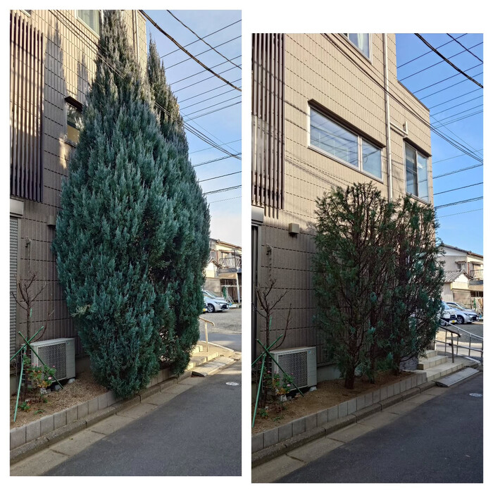 画像277