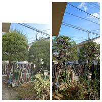 画像279