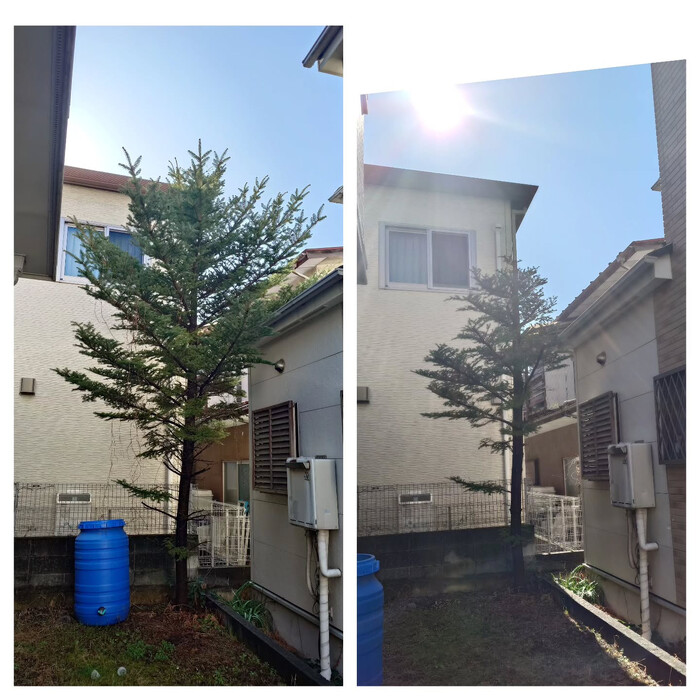 画像296