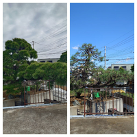 画像304