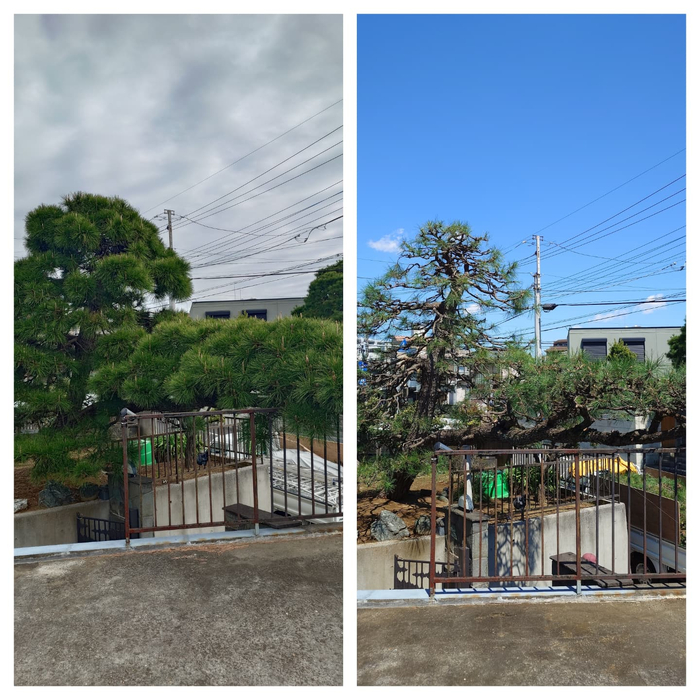 画像304