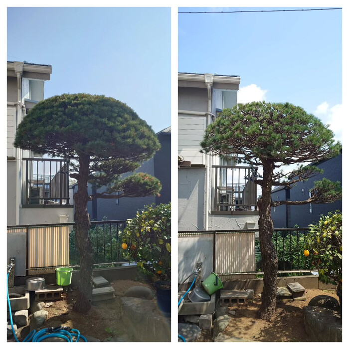 画像311