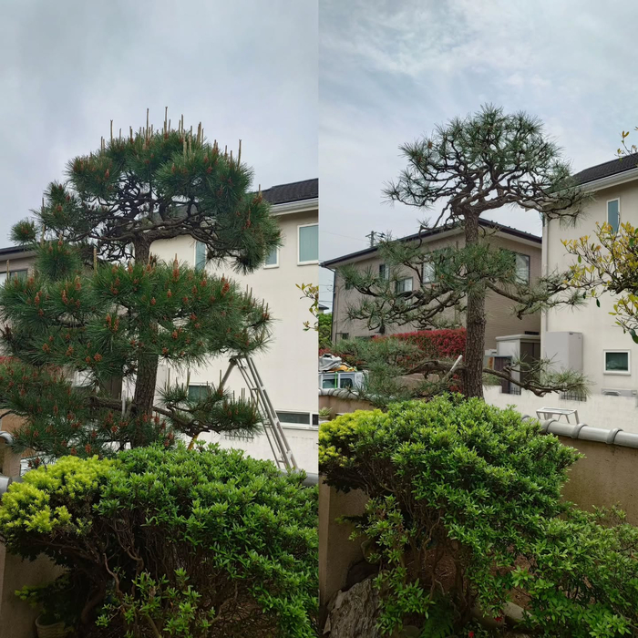 画像315