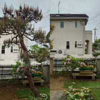 画像316