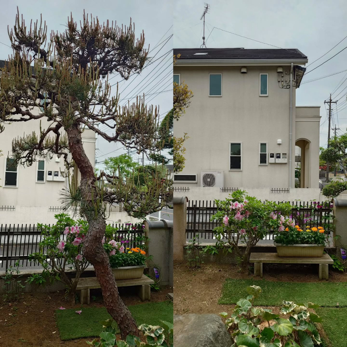 画像316
