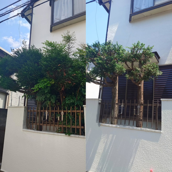 画像319