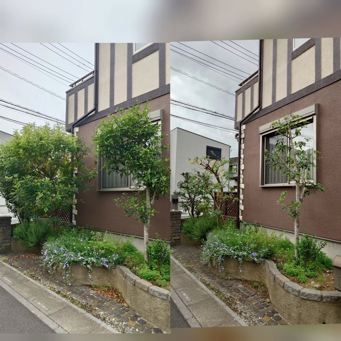 画像321