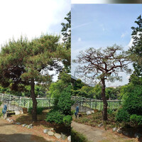 画像329