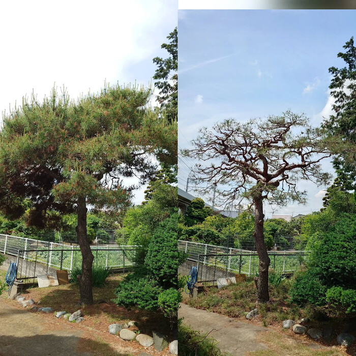 画像329
