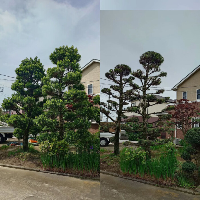 画像331