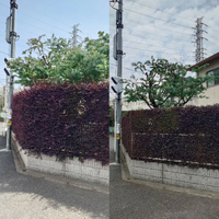 画像338