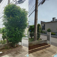 画像342
