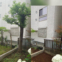 画像349