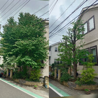 画像353