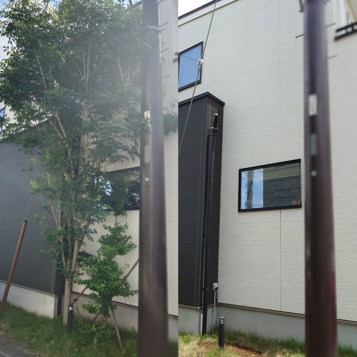 画像355