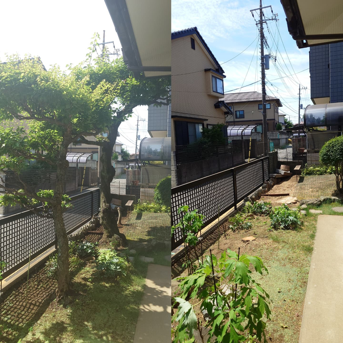 画像368