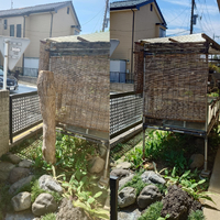 画像371