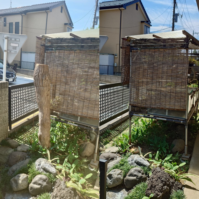画像371