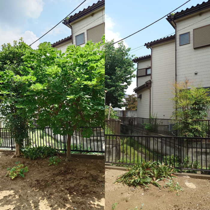 画像373