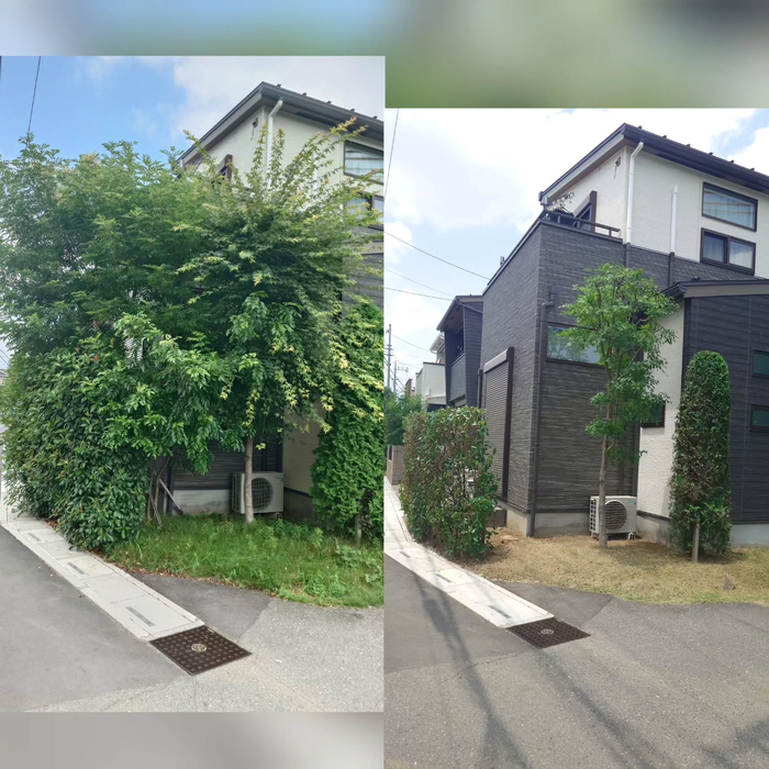 画像387