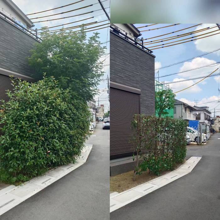 画像388