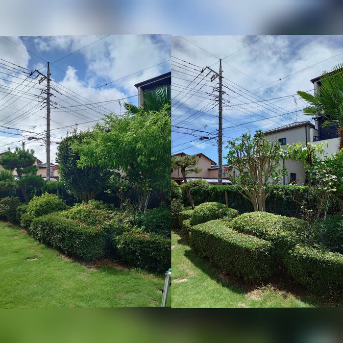 画像393