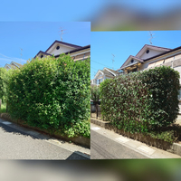 画像396