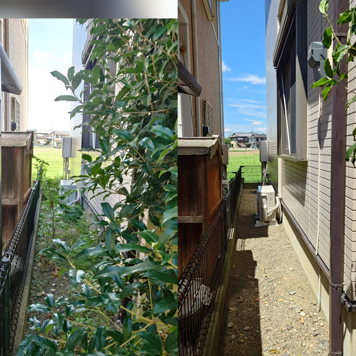 画像399