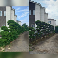 画像413