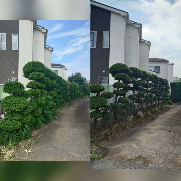 画像413