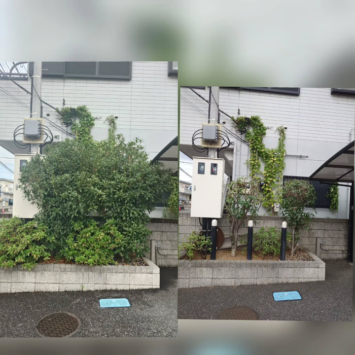 画像456