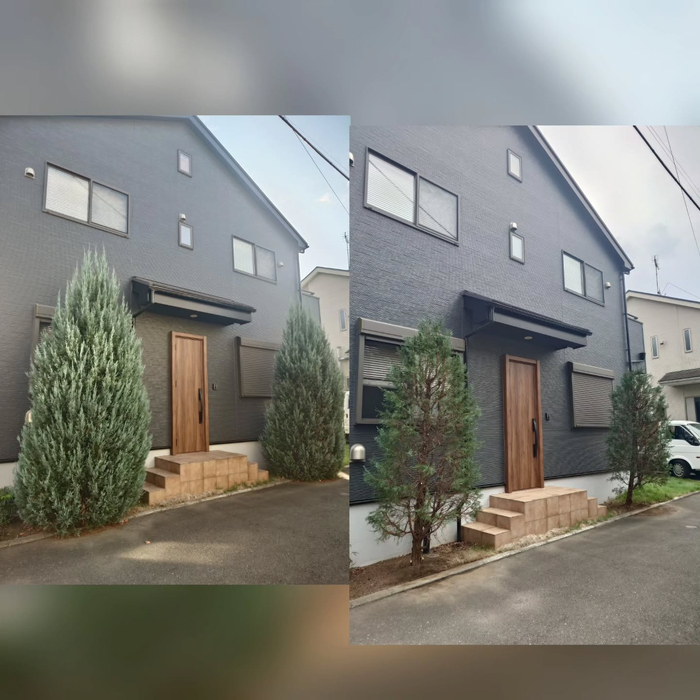 画像460