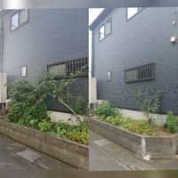 画像461