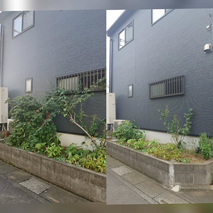 画像461