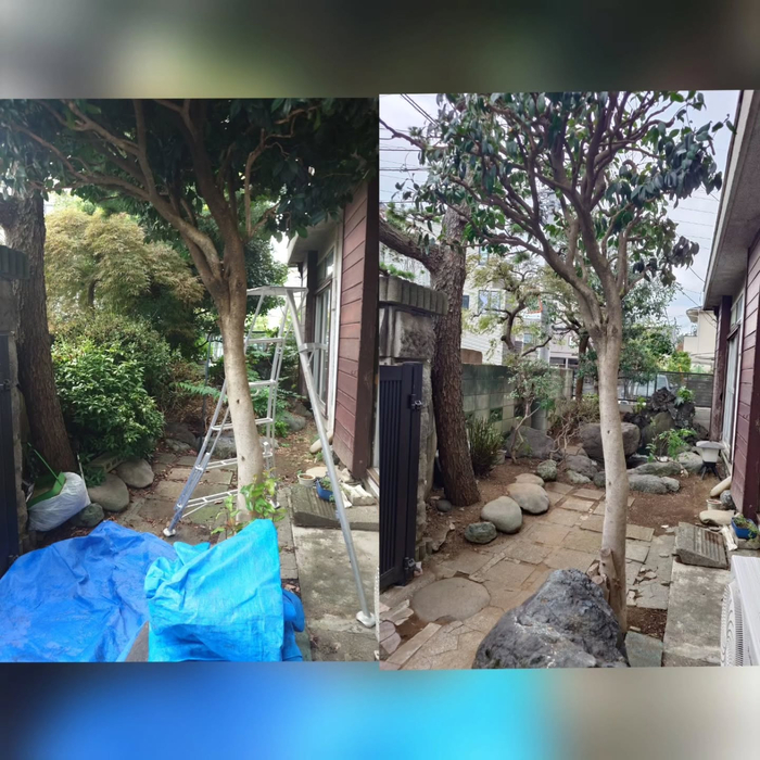 画像464