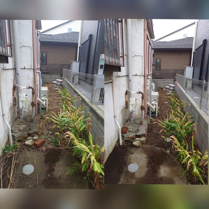 画像465