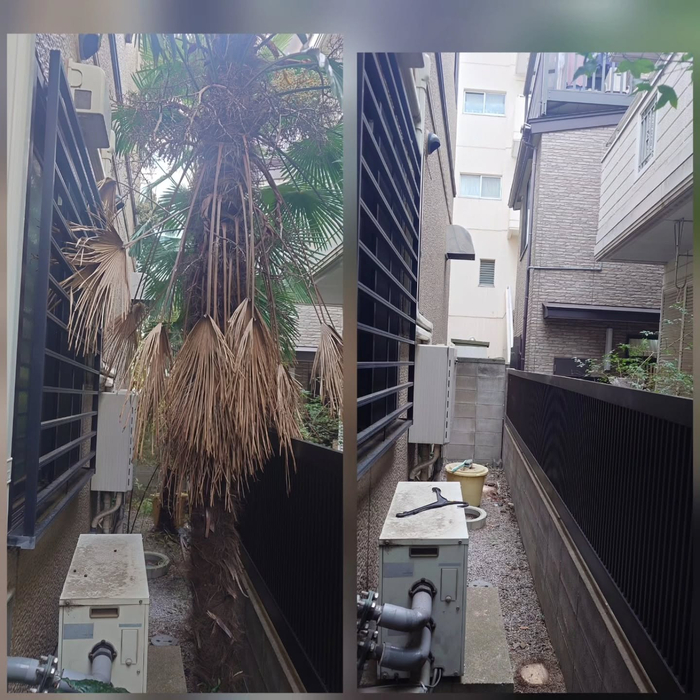 画像487