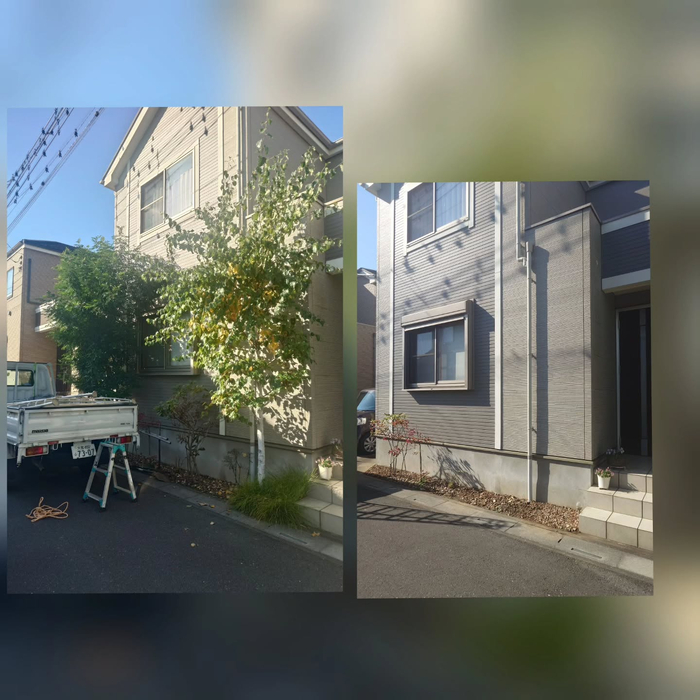 画像494