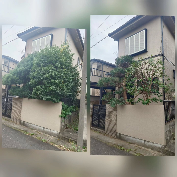 画像500