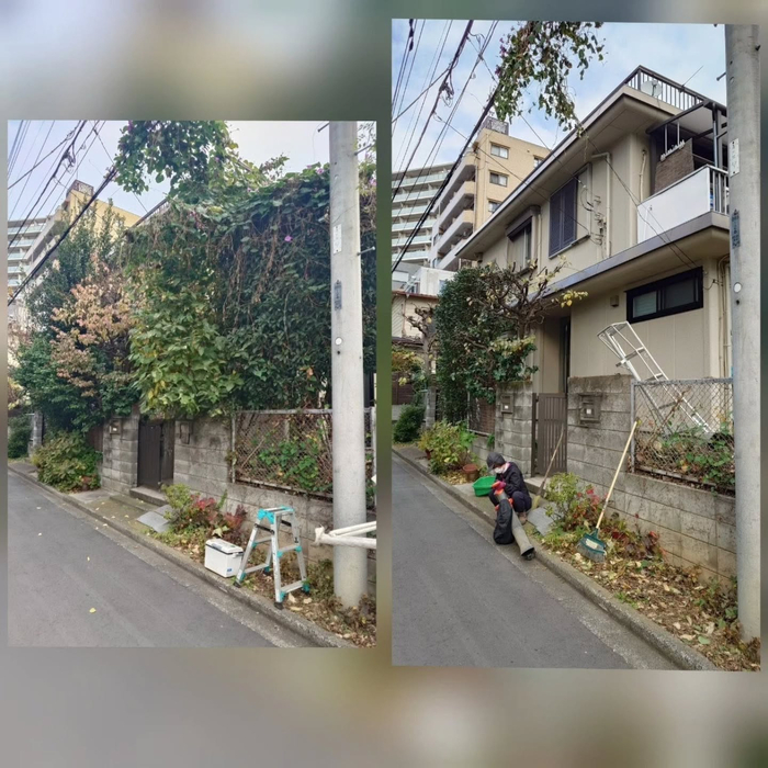 画像515