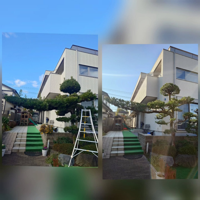 画像530
