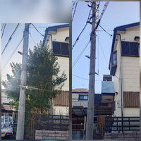 画像546