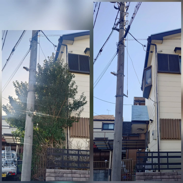 画像546