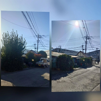 画像549