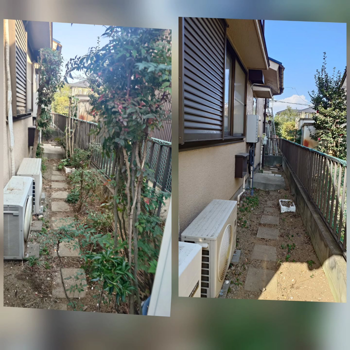 画像566