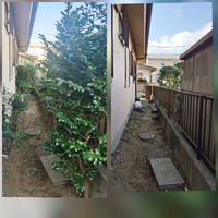 画像567