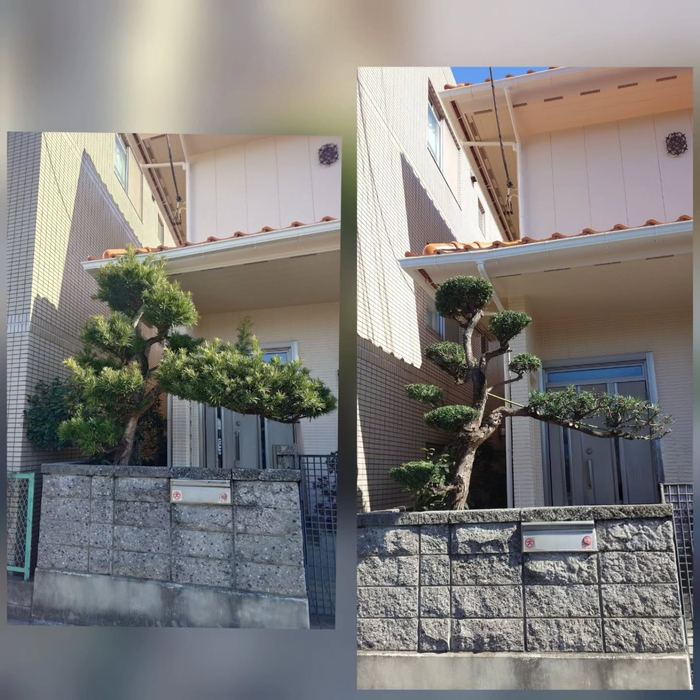 画像574