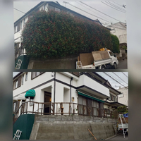 画像577