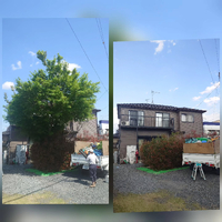 画像585